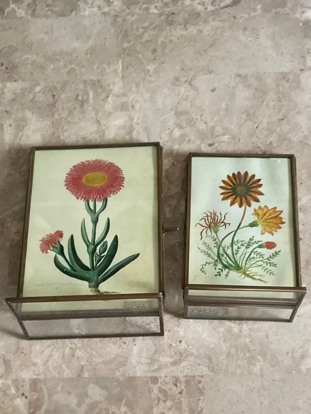TWO’s Company Frames Botanical Prints or Your Photos